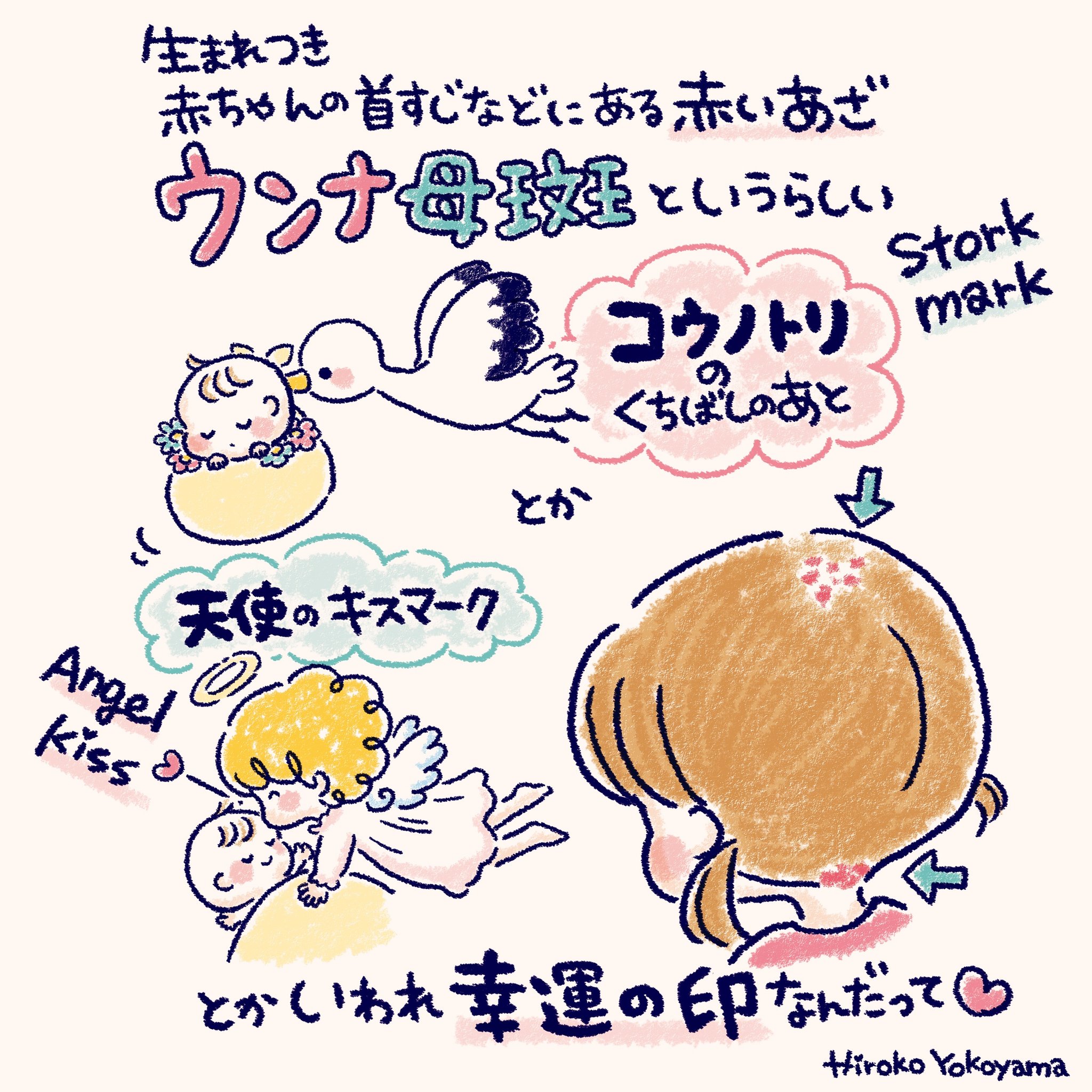 コウノトリのくちばしのあと Twitter Search Twitter