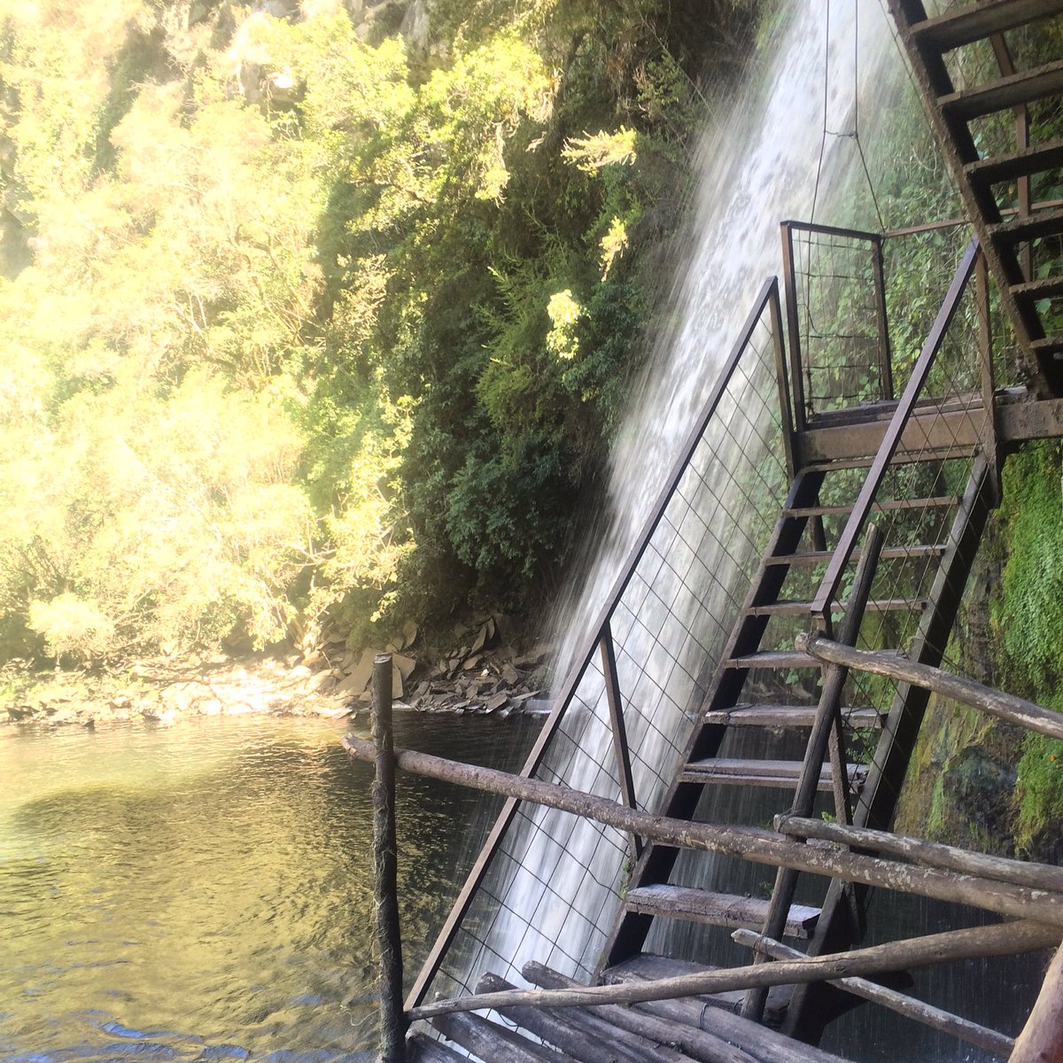 pamuho's tweet photo. Cascada de #Rumibosque #Quito #Ecuafoto #Pintofotografia https://t.co/ui9iLg2Ocd
