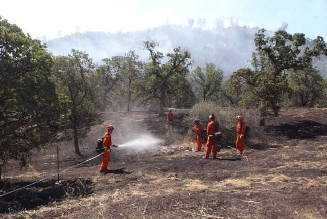 CALFIRESHU's tweet photo. #FiddlerFire [update] southwest of Igo (Shasta County) is now 441 acres &amp; 85% contained. https://t.co/kRpgTwKNYY https://t.co/3Jhh9IsLl8