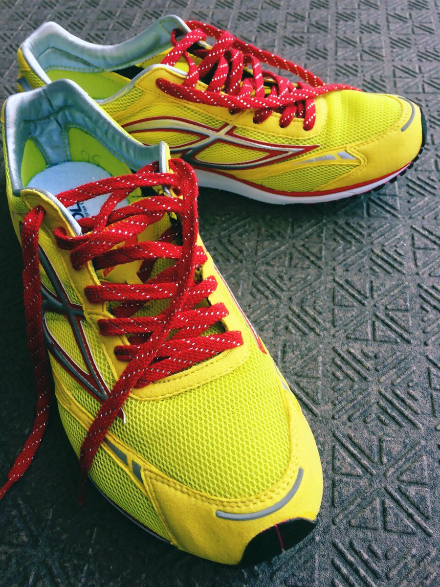 ビモロ BEMOLO エモスタ ビモロシューズ 鳥谷 イチロー 野球