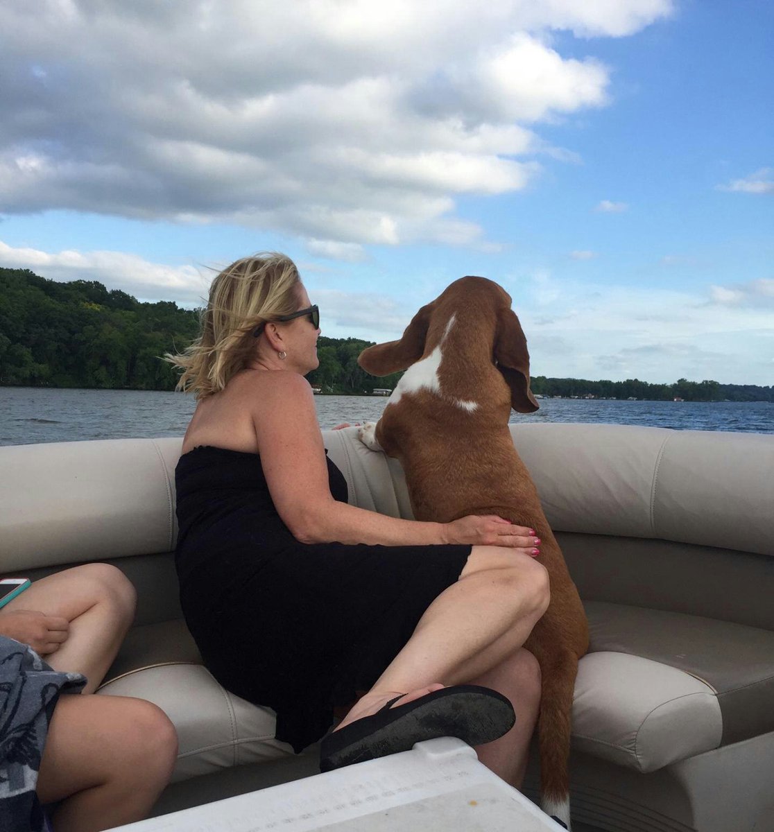 MichellesMovie's tweet photo. Great day on the Wisconsin River. #Winston #pontoon #friendsincoolplaces #summer #wisconsinproud πππ’ https://t.co/1lSxGvvQar