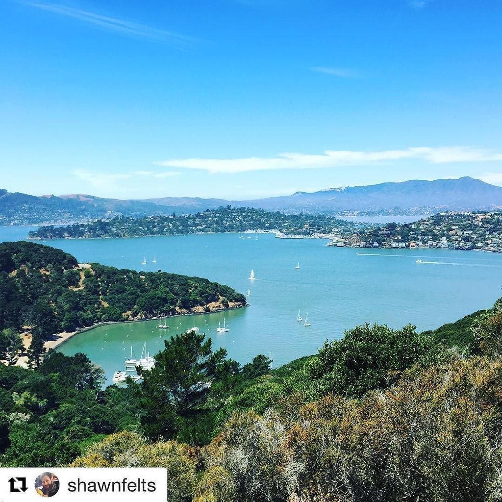 AngelIslandCafe's tweet photo. Great photo of Ayala cove from the hiking trail leading to Mt Ida Photo by @shawnfelts https://t.co/F9NHRP9xC9
