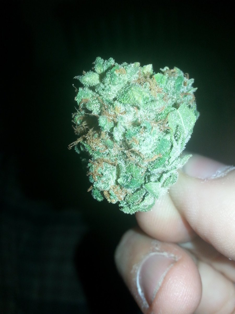 CTMMPReviews's tweet photo. Had Great #710 I know I smoked like a chimney, back to the hamster wheel in the am, Peace'N'HairGrease #CTMMPReviews https://t.co/D6IKzMrCl5