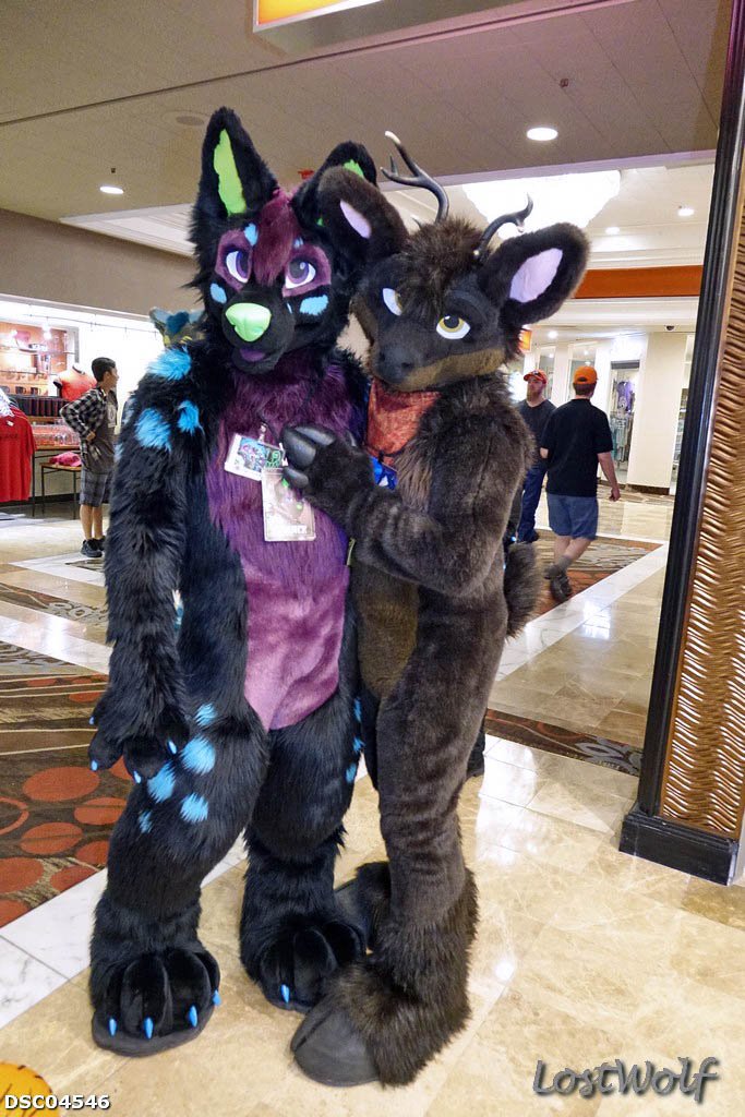LostWolf321's tweet photo. It's @trancehusky &amp; @Aetius_stronk @BiggestLittleFC #BLFC2016 https://t.co/PpNEG5mAhm