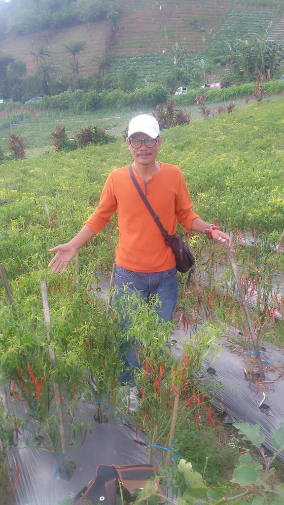 dedygiarto's tweet photo. Edisi liburan 
... https://t.co/mdzxkLvHWt