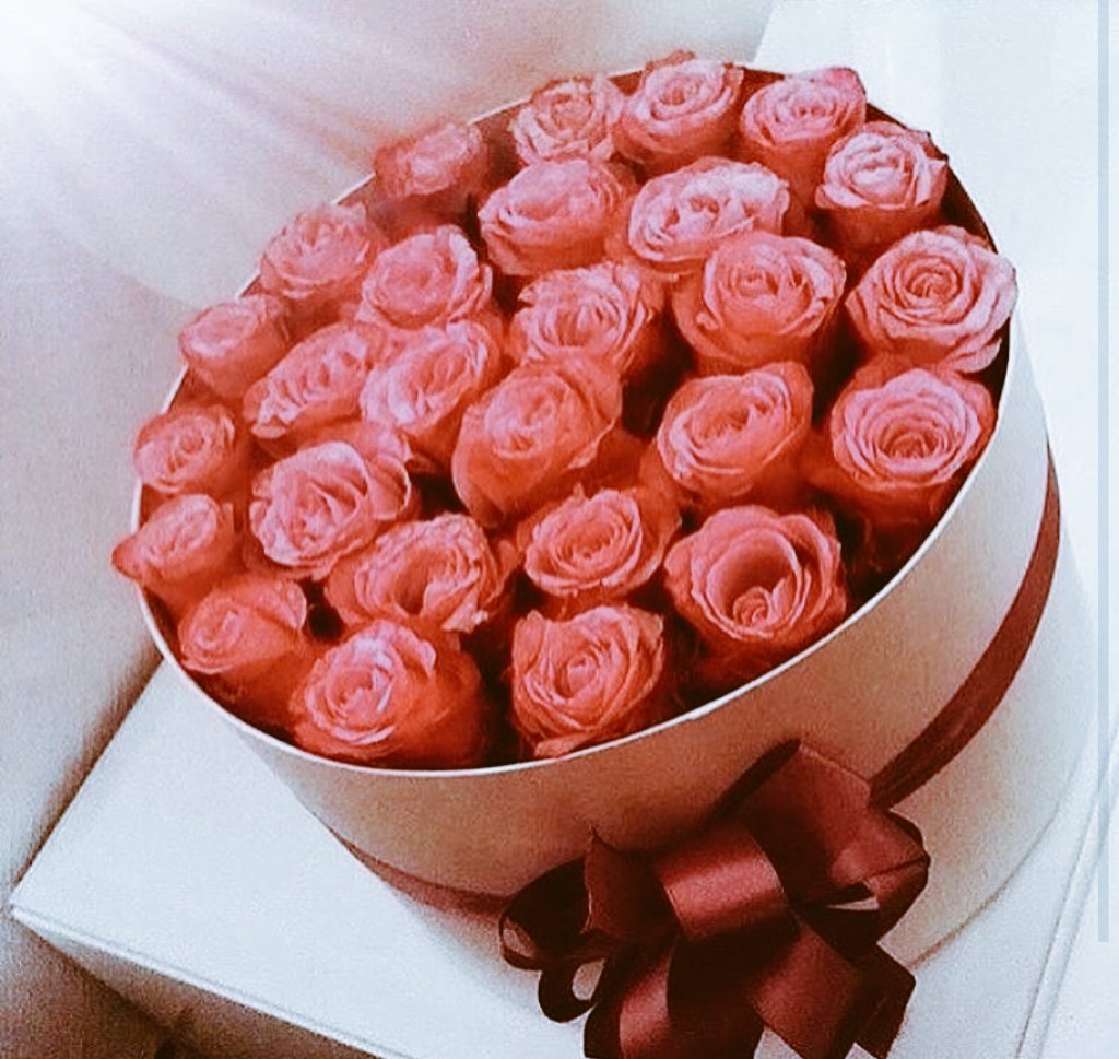 mem24o's tweet photo. #بسمة_15k_متابع
🎈الف مبرؤ9ؤ9ؤ9ك يامبدعه عقبالش المليون🎈
🎈🎈🎈🎈🎈
#حساب_VIP_يستحق_المتابعه
🎈🎈🎈🎈🎈🎈
@bsmadada10 https://t.co/bDLjv6BYTE