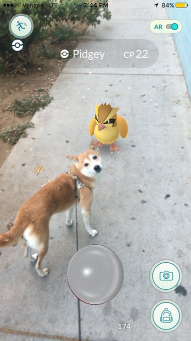 "Look mom! I found a Pidgey!" https://t.co/fkDdyiJdtP