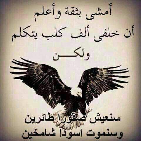 عزيز أبن السلطان (@azizalsultan) on Twitter photo 