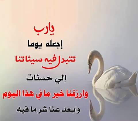 عزيز أبن السلطان (@azizalsultan) on Twitter photo 