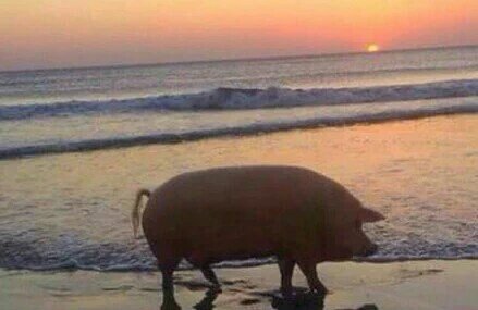 angiedgk's tweet photo. Expectativa / realidad https://t.co/4Ic8iPv9cz