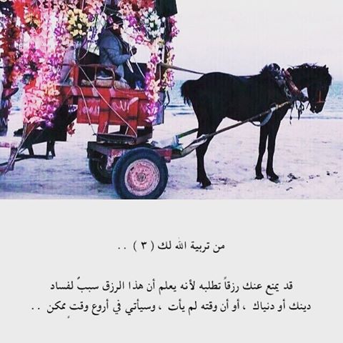 ميَمآ tweet media