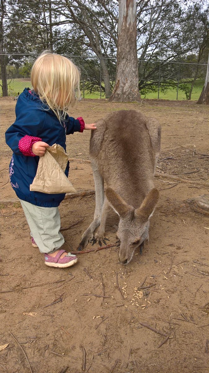 Ladwig_AUS's tweet photo. Besuch im Lone Pine Koala Sanctuary in Brisbane. https://t.co/zD34W97pox