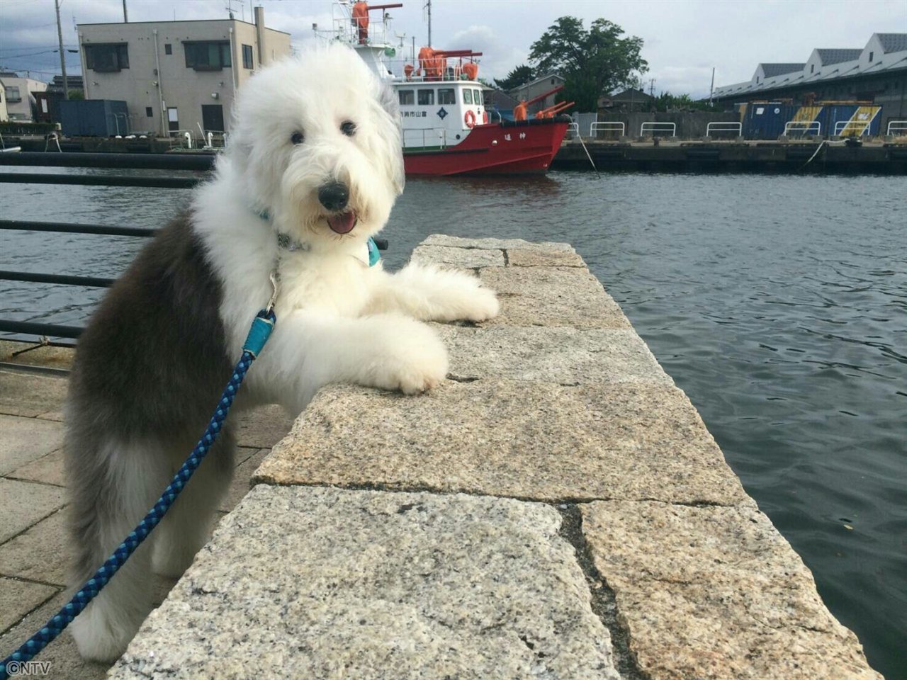 Zip 日テレ Auf Twitter そら 何が見えるの あおぞらキャラバンは富山の旅がスタート 明日のzip あおぞらキャラバン Ziptv T Co 7njpvesn2w Twitter