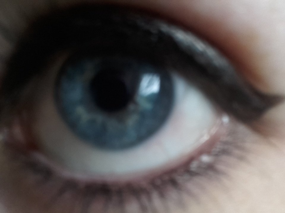 sophia_riibs's tweet image. #swimforsight