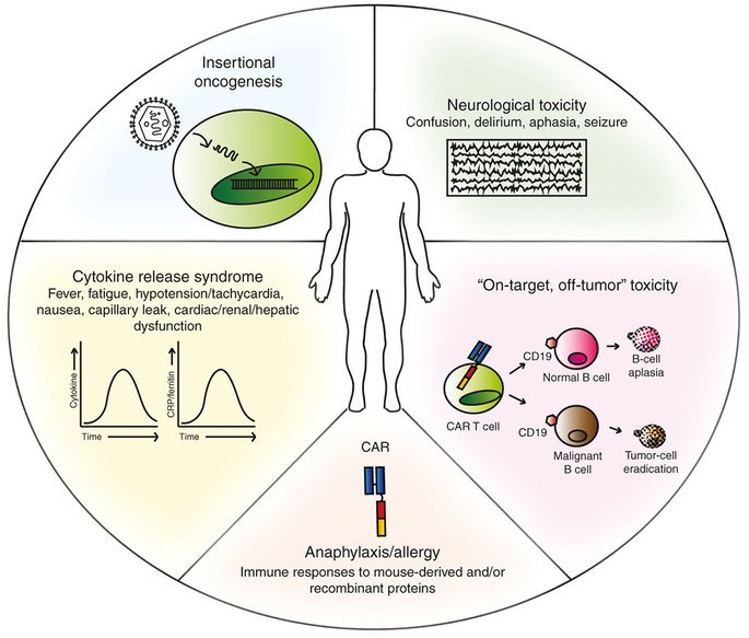 Labiotech_eu's tweet image. Storm on the Car-T field – 3 patients die in Phase II Study #Cancer #Cellectis ow.ly/nXkI302788E