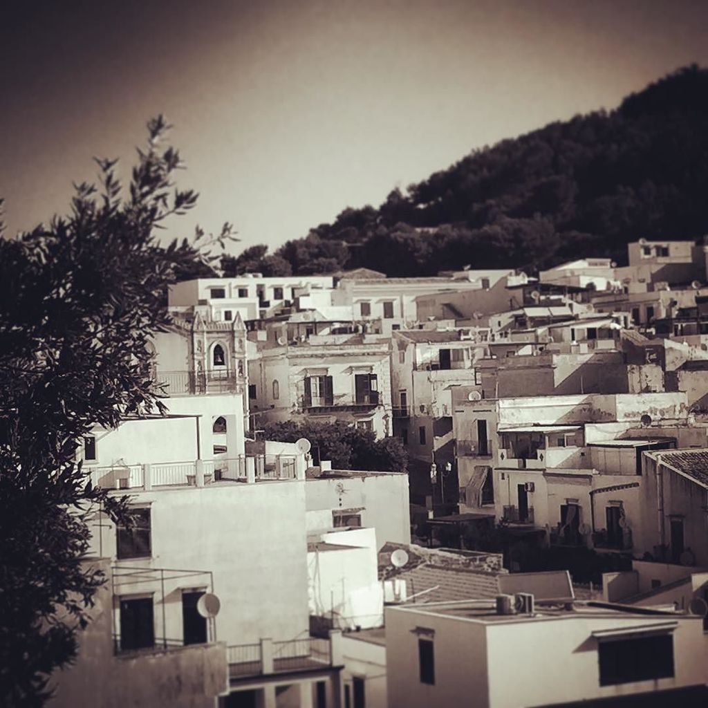 #morning in #isoladiustica #palermo #sicilia #italy #travel #blackandwhite #photography ift.tt/29OtLBW