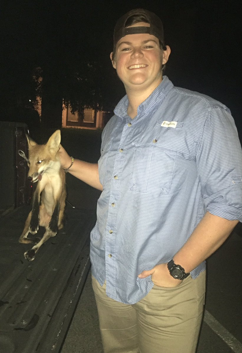 Caught a real life Fennekin! #pokemonGO #gottacatchemall