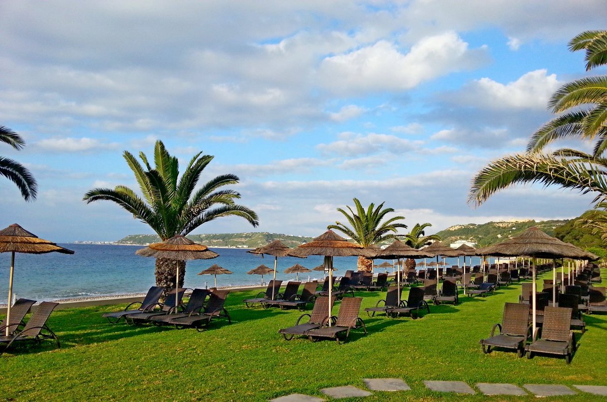 Panadvert tweet media