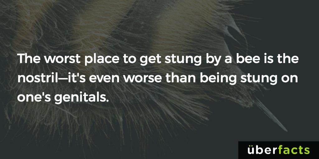 FactsFly's tweet image. bit.ly/2b7C7CQ
 #facts