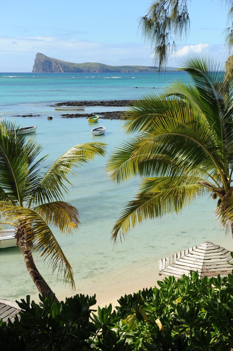 Bonne reprise à tous ! #mondaymotivation <a href="/mon_ilemaurice/">Mon Île Maurice</a> <a href="/HotelsAttitude/">Hotels Attitude</a>