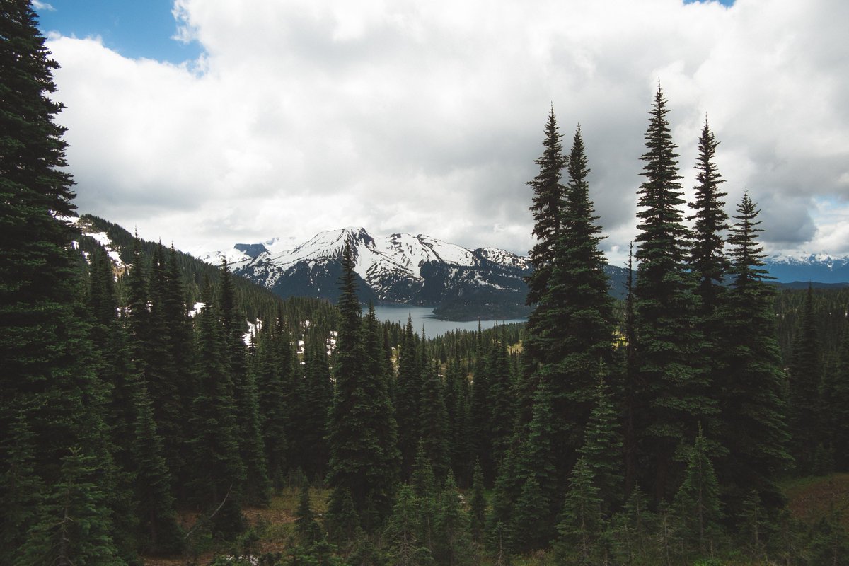 AutumnsGrief's tweet photo. Another morning up at 6am for a hike. This is Garibaldi Park and it took us 9 hours overall. Worth it #MarkGoesToBC https://t.co/S5SuJL7Vqq