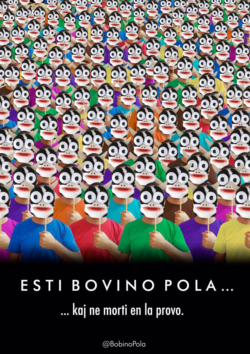 Bovino Pola tweet media