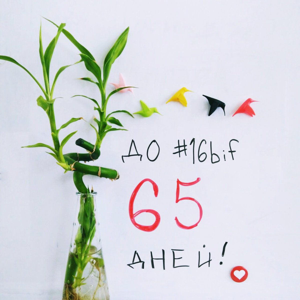 Medveding's tweet photo. #16bif пройдет с 14 по 16 сентября! Конференция в один поток, вип-день для руководителей и мастер-классы → bif16.ru https://t.co/8uxXXn0GYT