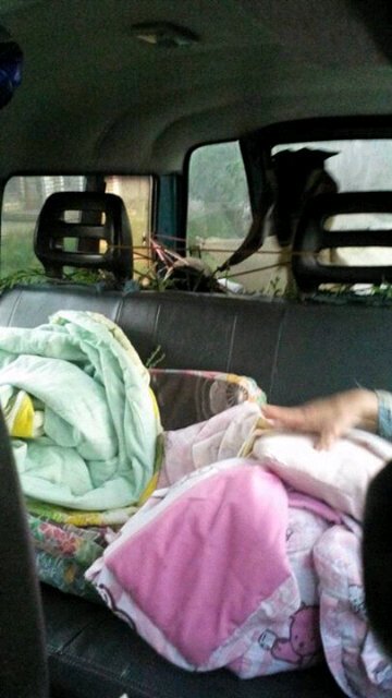 Mudiiikkk.. Brangkat bawa satu dus plang bawa wedhus. Hiks ☺