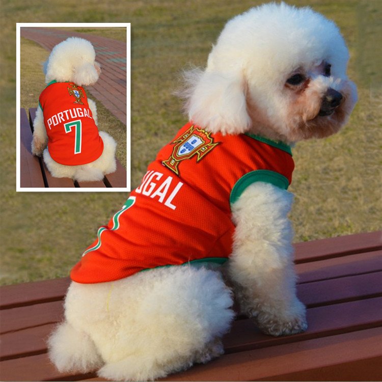 Congratulations to #Portugal for winning #Euro2016
#Football #Euro2016Final #Ronaldo #HappyPaws