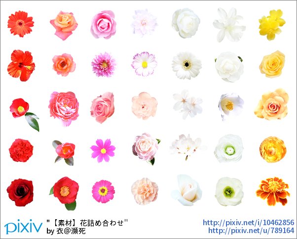 Pixivision على تويتر 春夏秋冬 季節の節々で活用できる花のフリーイラストを特集しました 花のイラスト素材 花束や背景に使える無料のフリー画像 T Co Lsjmcw6xev Pixivspotlight