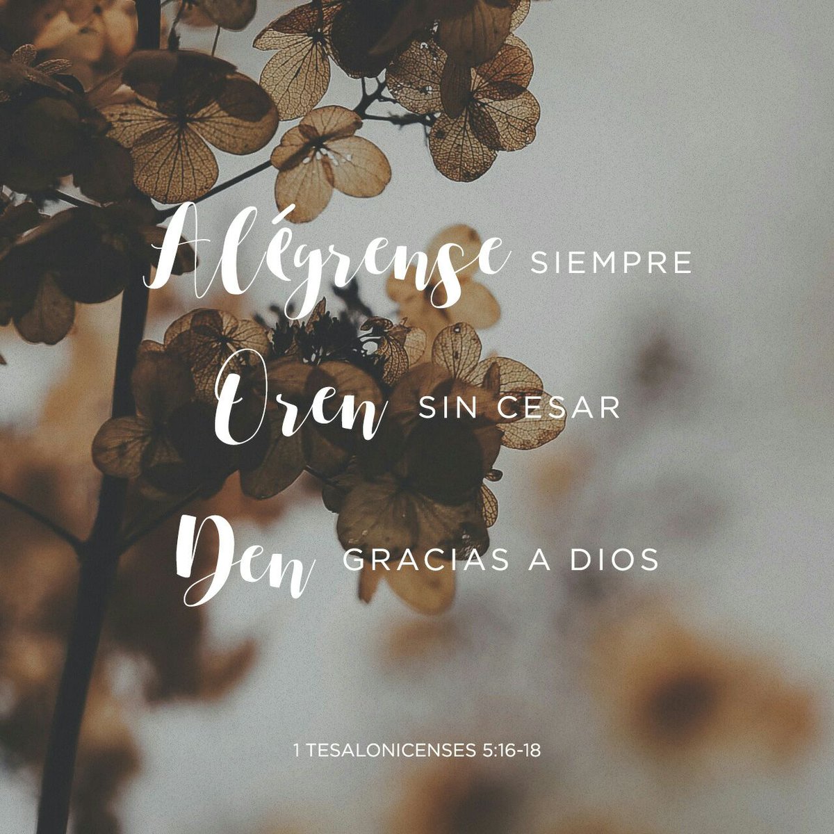 pao0592's tweet photo. Inicio de semana, #voluntadperfecta #confiandoenDios https://t.co/3q1oyC6VTl