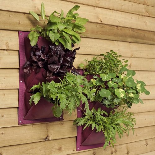 Direct 10% korting bij
Kitchen Garden Shop op gehele collectie 
Ga voor kortingscode naar: goo.gl/MjZfvF