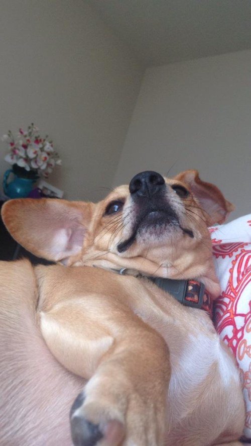 jamesjgordon2's tweet photo. When you accidentally open your front-facing camera https://t.co/GY9ZlLUTIE