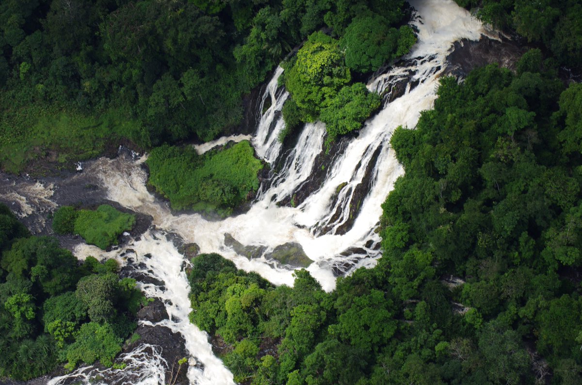 Gabon Nature on Twitter: "The raises awareness about elephant poaching in Gabon: https://t.co/bwRYyinSJ8 via @theinquisitr https://t.co/ZrbYOxojMM" / Twitter