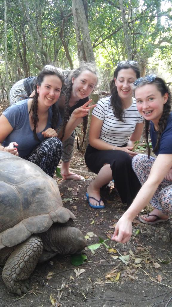 AQZanzibar's tweet photo. Feeding a giant tortoise! Watch those fingers Charley! https://t.co/VJe0rSgJbw