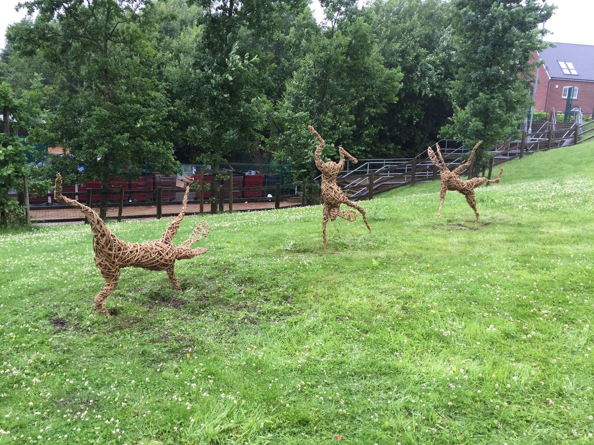 Sporty hares installed <a href="/TheRadclyffe/">The Radclyffe School</a>  today. Designed by the kids, made by me! #willowsculpture