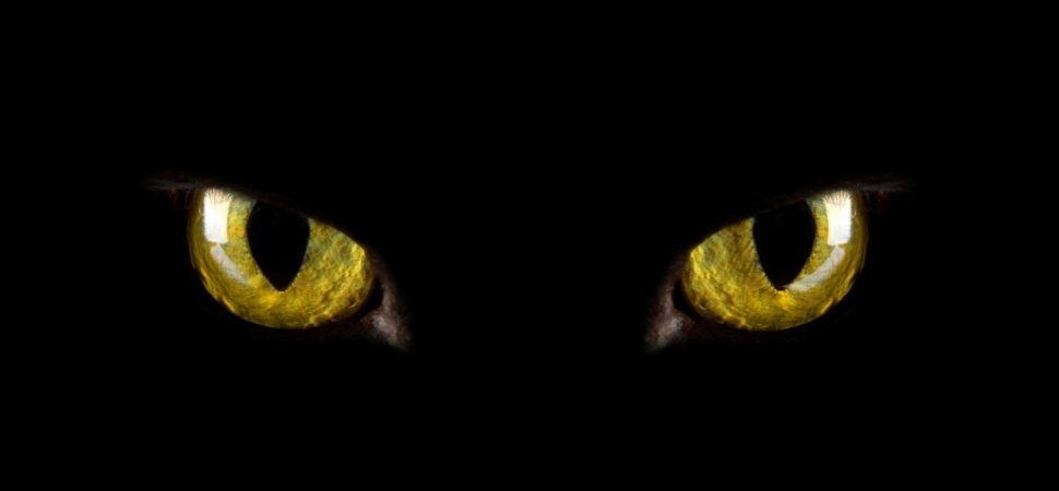 Want to silence that inner critic? Here's a creative approach. #growthmindset on.inc.com/29D9zSa via <a href="/Inc/">Inc.</a>