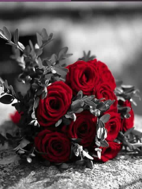 aBeeR9392's tweet photo. الصادق لا يحلف ،
والواثق لا يبرر ،
والمخلص لا يخون ولا يندم ،
والكريم لا يمنن بعطاياه ،
والمحب لا يمل من احبابه  !! https://t.co/UMHeeveMNI