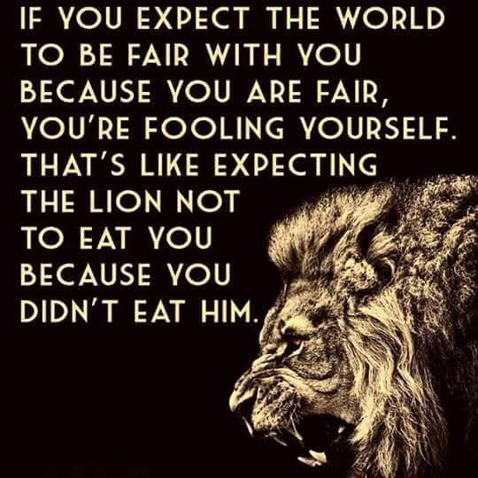 Arief Rakhman (@siyipyip) on Twitter photo 