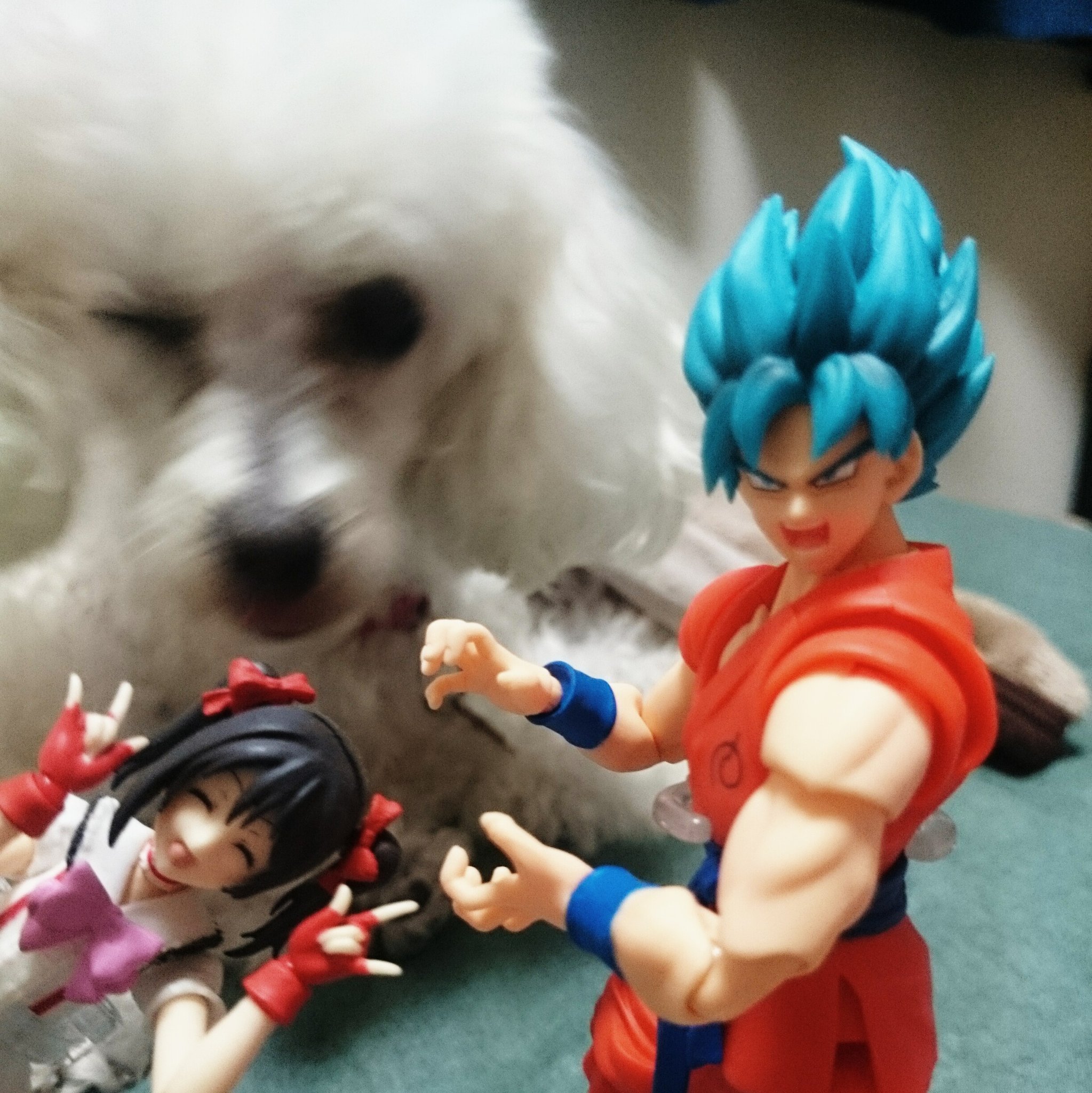 にこにこ^_^さま♥️専用 にこにこー - Search / X