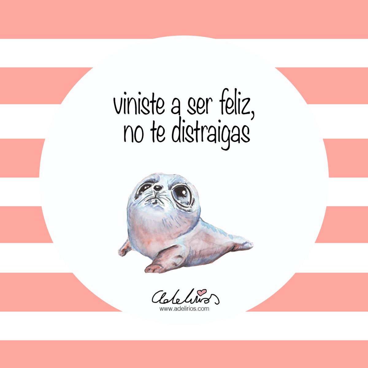 No te distraigas!
