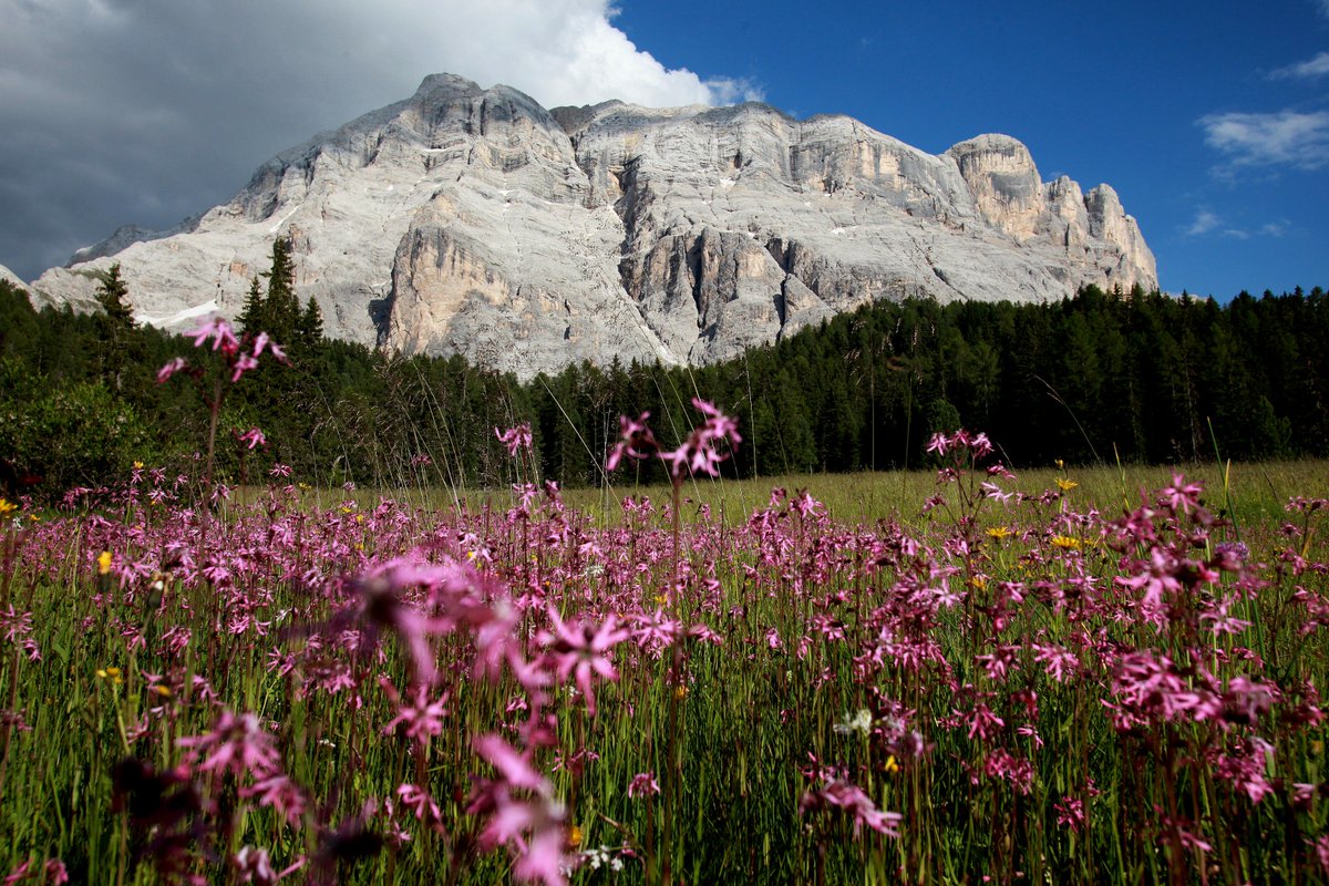 Herzlich Willkommen am Weitwandernportal Tru di Pra!
weitwanderwege.com/bengnues-tru-d…