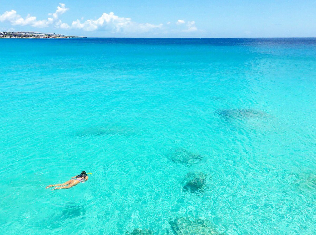 anguillabeaches's tweet photo. Into the blue 🐠
#OceanExploring
#Anguilla #Caribbean #Paradise https://t.co/xs8ALmm6MD