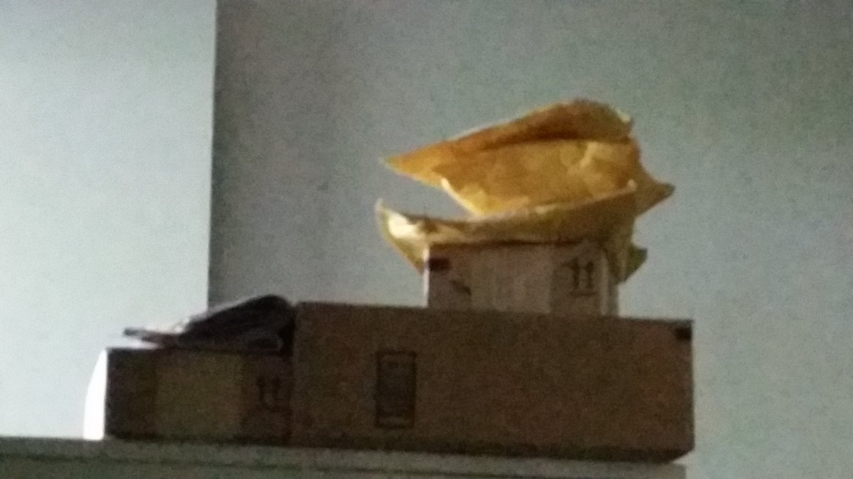 MistressDiAnne1's tweet photo. Came home from my trip to lots of goodies waiting for me... can't wait to open them! Good job pigs!  @RTpig @RT4tat2 https://t.co/6xf0r1wEhf