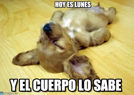 Meme Adicto on Meme Adicto on