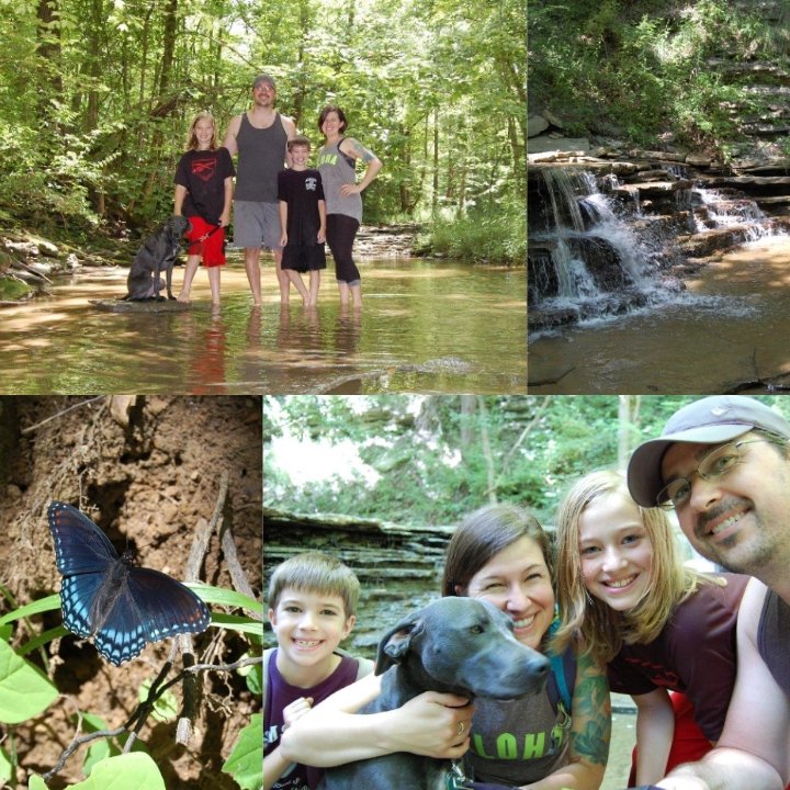 trischagoodwin's tweet photo. Yesterday's #WeekendHike at #EastForkStatePark. #2016HikeEveryWeekend #2106HikeTwentyNine #HikeOhio #OptOutside https://t.co/1c4Sglnj4T