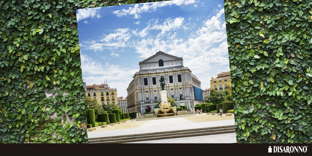 Disaronno_es tweet media