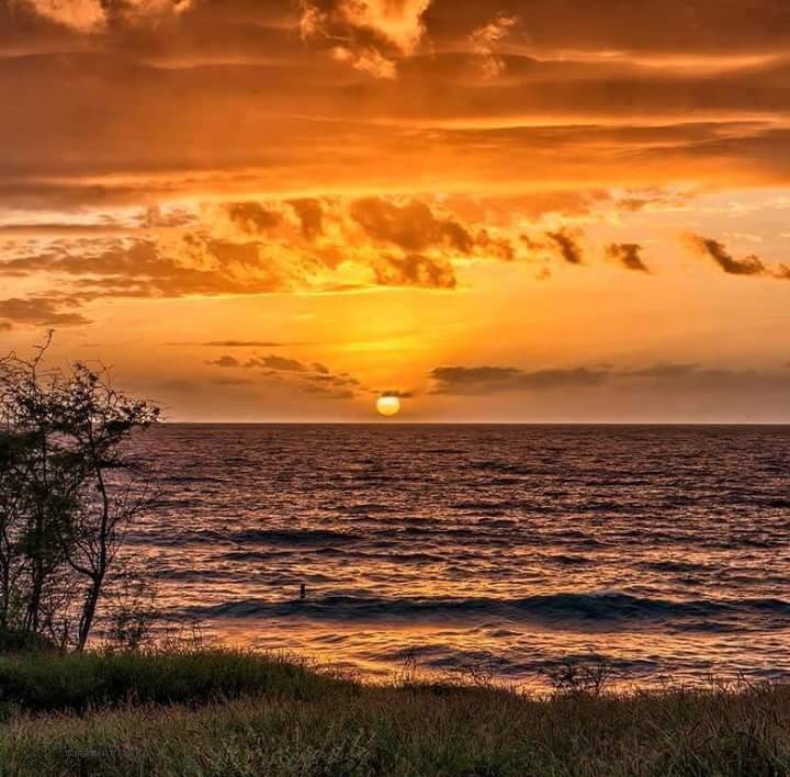 cfacid's tweet image. Vía @sahajyoti3