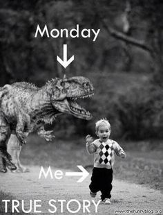 bbmbohana's tweet photo. #ISteachingtips #Juliett back in for Round #2 of FIFC Evals #Mondays #jurassicmonday #trex #pleasedonteatme https://t.co/QFYv4c76b5