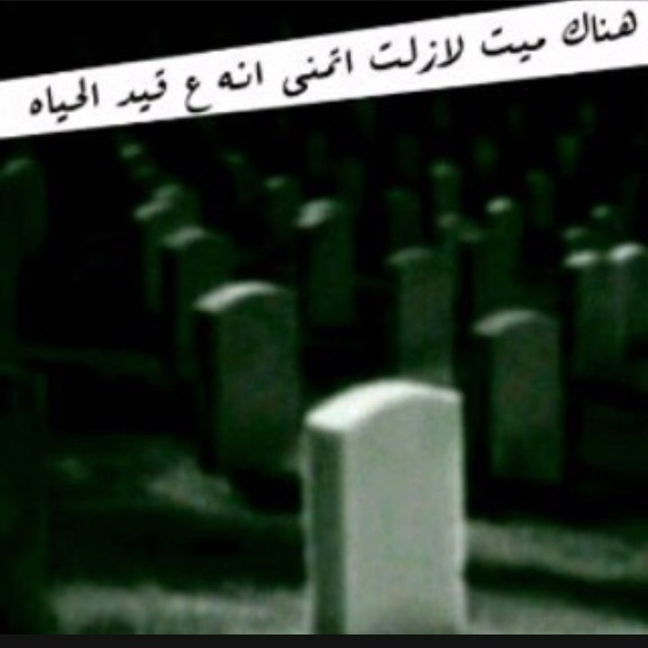 ❥ 𝑴𝒂𝒏𝒂𝒓 𝑵𝒂𝒔𝒓 ❥ tweet media